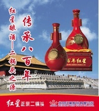 批发38度500ML【百年红星】_食品、饮料_世界工厂网中国产品信息库